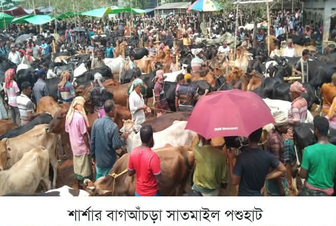 বাগআঁচড়া শেষ মুহূর্তে সাতমাইল পশুহাটে জমজমাট বেচাকেনা